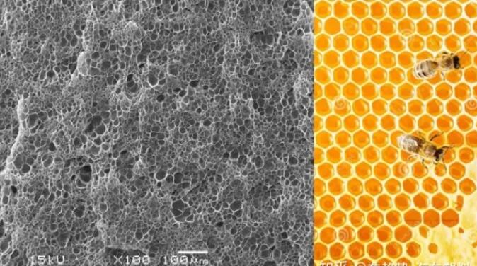 epp發泡聚丙烯的顯微結構，可以看到這是種連續閉孔結構，類似于蜂窩
